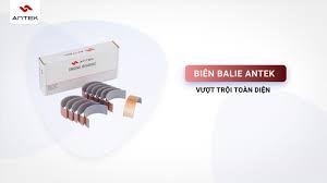 Bạc ắc phi dê phi 30/34/165 (1049) chất lượng lắp ráp (Antek) - bộ