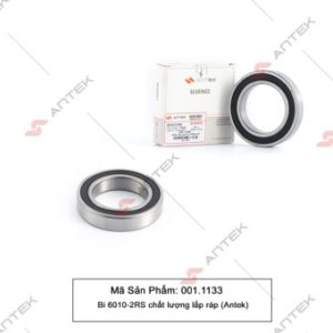 Bi 6010-2RS chất lượng lắp ráp – Antek