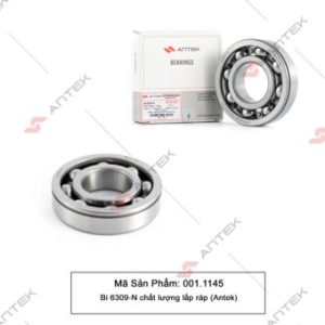 Bi 6309-N chất lượng lắp ráp – Antek