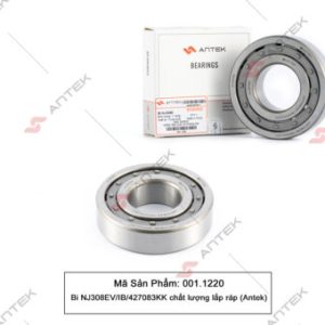 Bi NJ308EV/IB/427083KK chất lượng lắp ráp – Antek