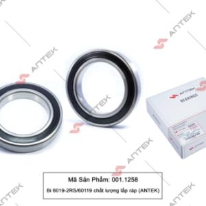 Bi 6019-2RS/60119 chất lượng lắp ráp