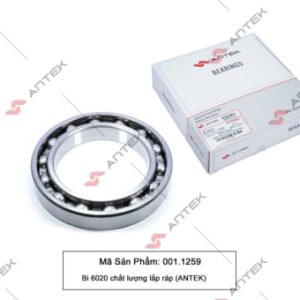 Bi 6020 chất lượng lắp ráp – Antek
