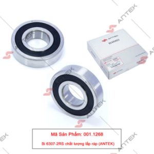 Bi 6307-2RS chất lượng lắp ráp – Antek