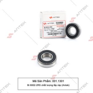 Bi 6002-2RS chất lượng lắp ráp – Antek