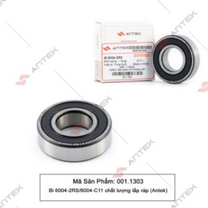 Bi 6004-2RS/6004-C11 chất lượng lắp ráp – Antek