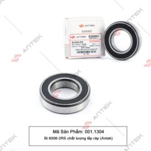 Bi 6006-2RS chất lượng lắp ráp – Antek