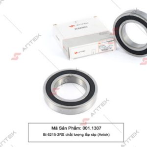 Bi 6215-2RS chất lượng lắp ráp – Antek