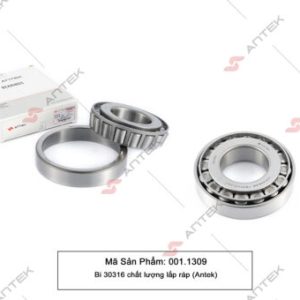 Bi 30316 chất lượng lắp ráp – Antek