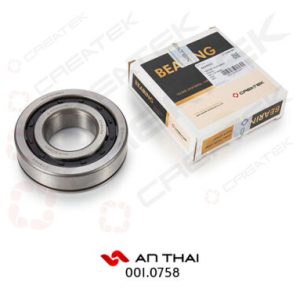 Bi 192309E/NUP 309EN Shacman – Createk