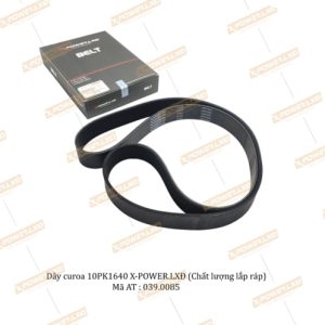 Dây curoa 10PK1640 (Chất lượng lắp ráp) – X-POWER.LXĐ