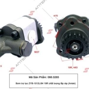 Bơm trợ lực ZYB-1012L/84 (19R) – Antek