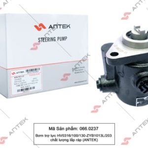 Bơm trợ lực HV0316/100/130-ZYB1013L/203 – Antek