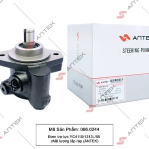 Bơm trợ lực YC4E/4110/1313L/65 – Antek