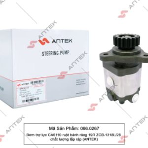 Bơm trợ lực CA6110 ZCB-1318L/28A (19R) ruột bánh răng – Antek