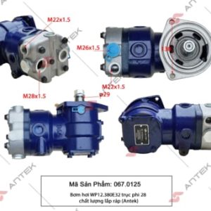 Bơm hơi WP12.380E32 trục phi 28 – Antek