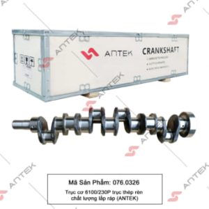 Trục cơ 6100/230P trục thép rèn – Antek