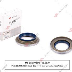 Phớt 65x114x10/26 (quả dứa 4113) – Antek