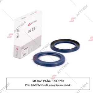 Phớt 90x125x12 – Antek