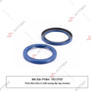 Phớt 95x125x12 – Antek