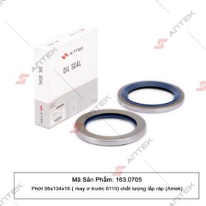 Phớt 95x134x15 (moay ơ trước 6110) – Antek