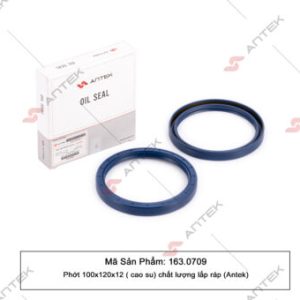 Phớt 100x120x12 (cao su) – Antek