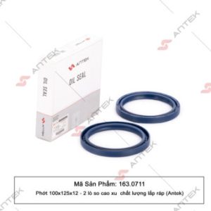 Phớt 100x125x12 – 2 lò so cao su – Antek