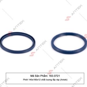 Phớt 140x160x12 – Antek