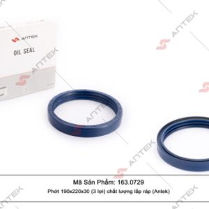 Phớt 190x220x30 (3 lợi) – Antek