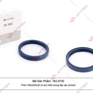 Phớt 190x220x30 (4 lợi) – Antek