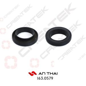 Phớt 55x75x10 không lò xo 6108 T5G ERO 3 (CREATEK)
