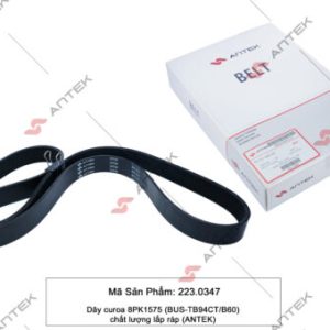 Dây curoa 8PK1575 (BUS-TB94CT/B60) – Antek
