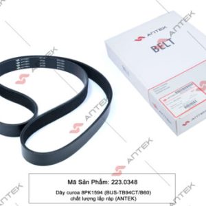 Dây curoa 8PK1594 (BUS-TB94CT/B60) – Antek