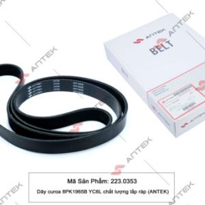 Dây curoa 8PK1965B YC6L/6113 – Antek