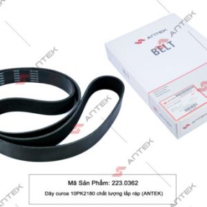 Dây curoa 10PK2180 – Antek