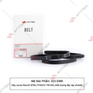 Dây curoa C76/9760 Recmf (xe khách TB120) – Antek