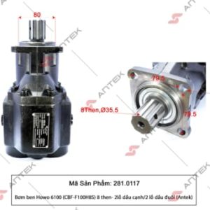 Bơm ben Howo 6100 (CBF-F100H8S) 8 then- 2 lỗ dầu đuôi – Antek