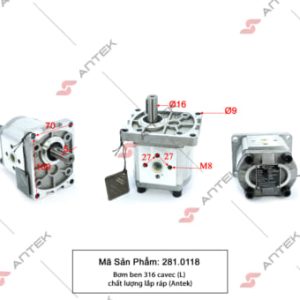 Bơm ben 316 cavec (L) – Antek