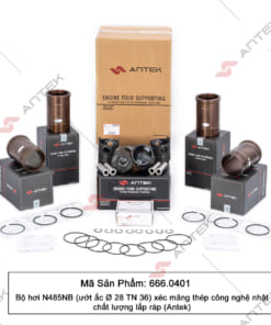 Alternative view of Bộ hơi N485NB (TN 36), Xéc măng thép – Antek