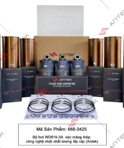 Alternative view of Bộ hơi WD615-3A/WP10.340E32, Xéc-măng thép – Antek