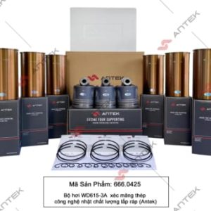 Bộ hơi WD615-3A/WP10.340E32, Xéc-măng thép – Antek