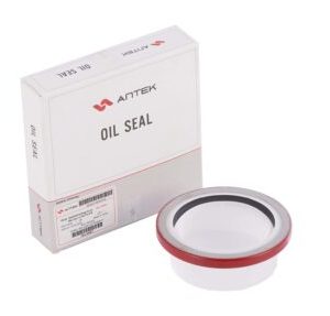 Phớt 75x93x8 không lò xo đầu trục cơ 6CT/L375 – Antek